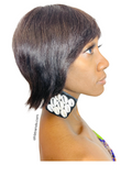 Cowrie shell earrings